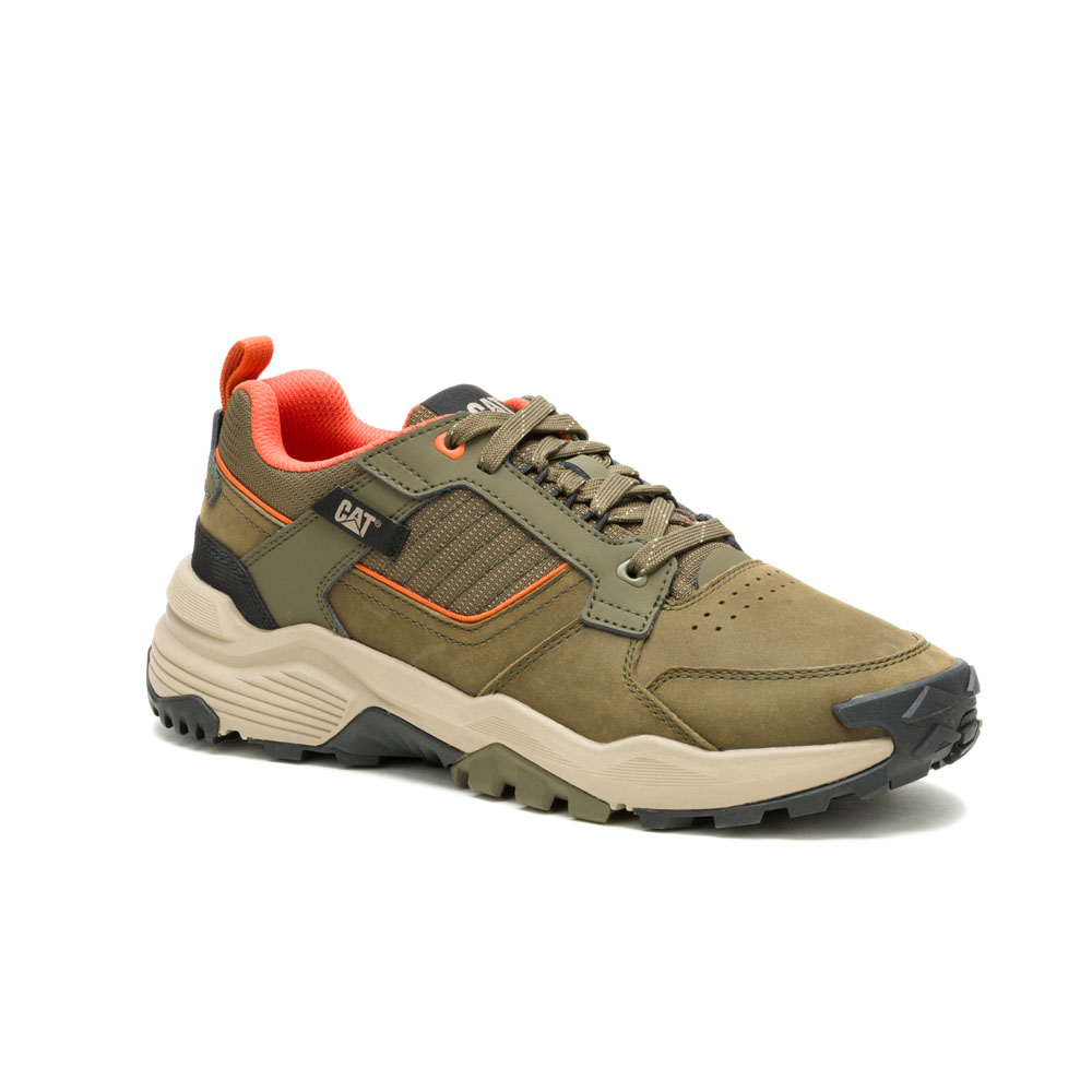 DARK OLIVE