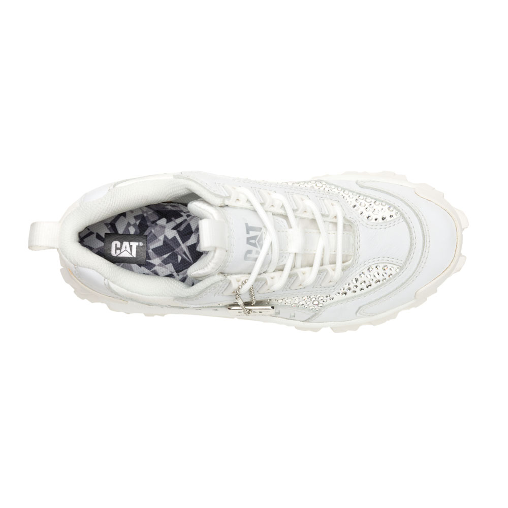 CF - CF - Ladies - P312716