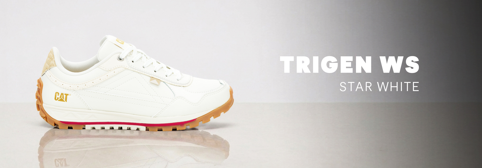 Trigen WS