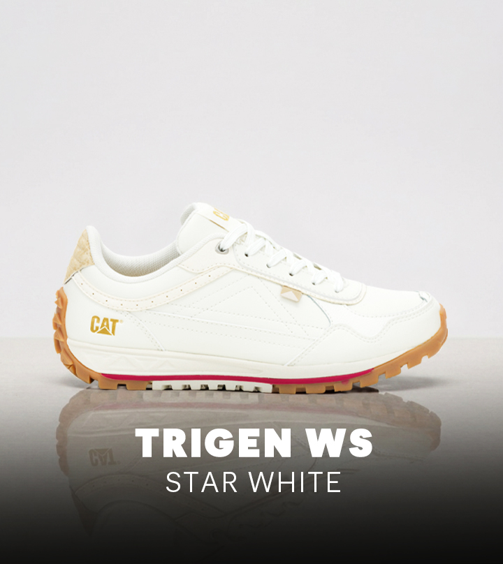 mobile Trigen WS